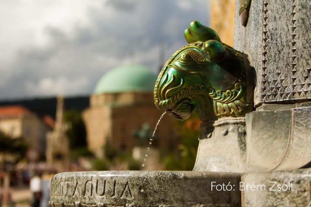 35 Vendégház Pécs Quarto foto